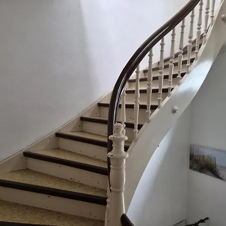 Appartement Neu! Geiseltal *
