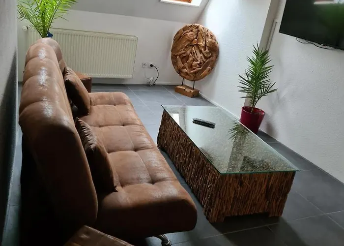 Neu! Geiseltal Mucheln