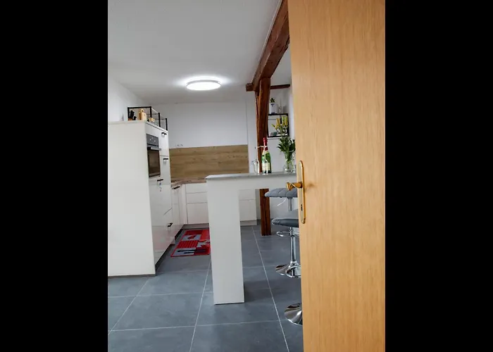 Neu! Geiseltal Daire *